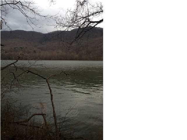 10880 Mullins Cove Road Whitwell, TN 37397 - Photo 1 of 9 Gallery Image 1