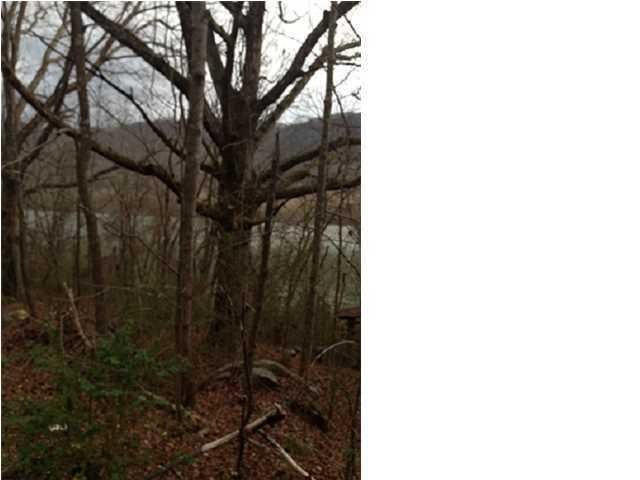 10880 Mullins Cove Road Whitwell, TN 37397 - Photo 3 of 9 Gallery Image 3