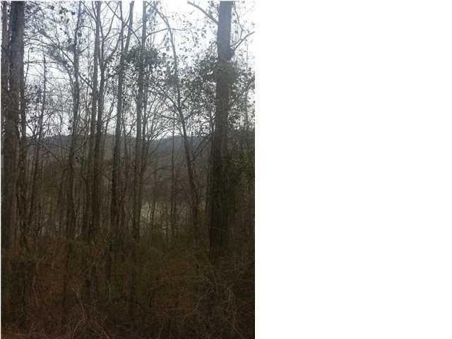 10880 Mullins Cove Road Whitwell, TN 37397 - Photo 5 of 9 Gallery Image 5
