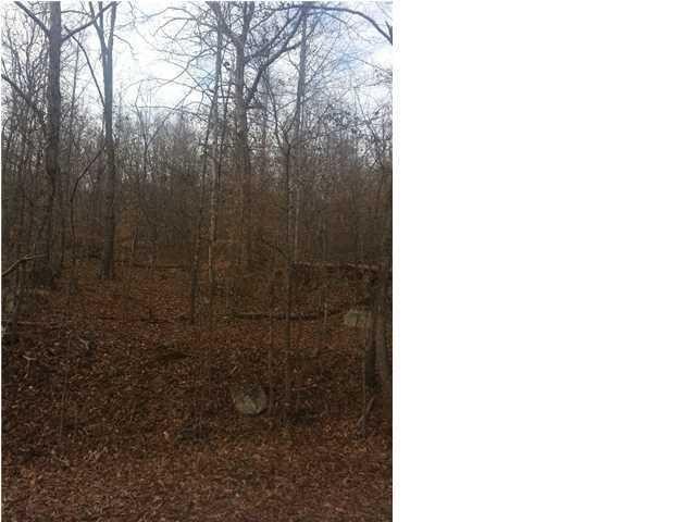 10880 Mullins Cove Road Whitwell, TN 37397 - Photo 6 of 9 Gallery Image 6