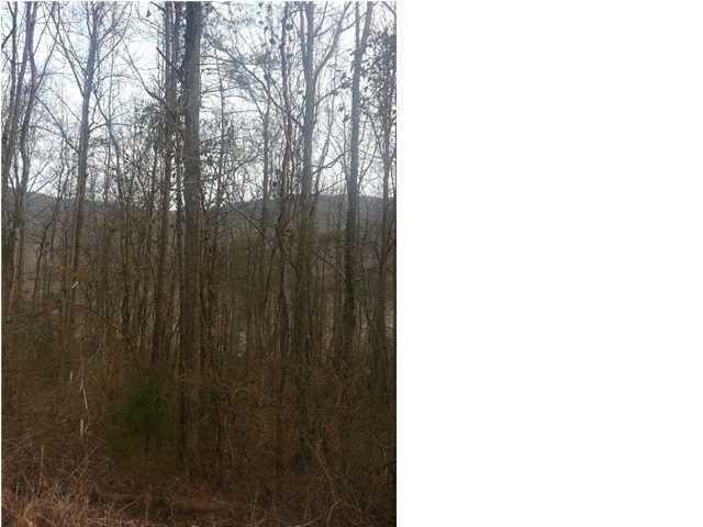 10880 Mullins Cove Road Whitwell, TN 37397 - Photo 7 of 9 Gallery Image 7