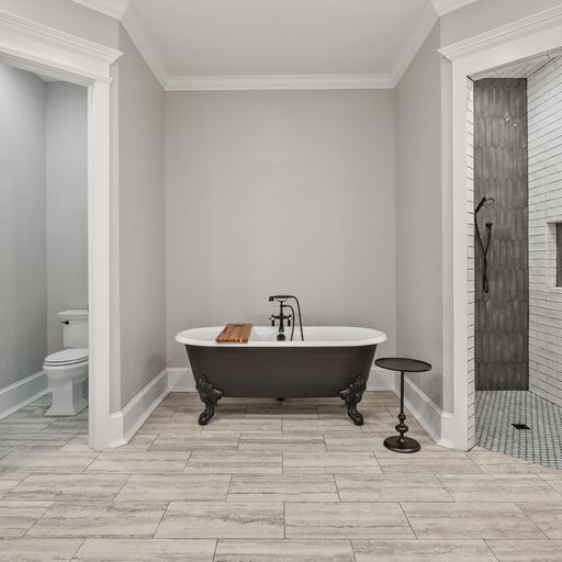 8321 Ebenezer Road Buena Vista, GA 31803 - Photo 19 of 61 Primary Bath with footed soaking tub