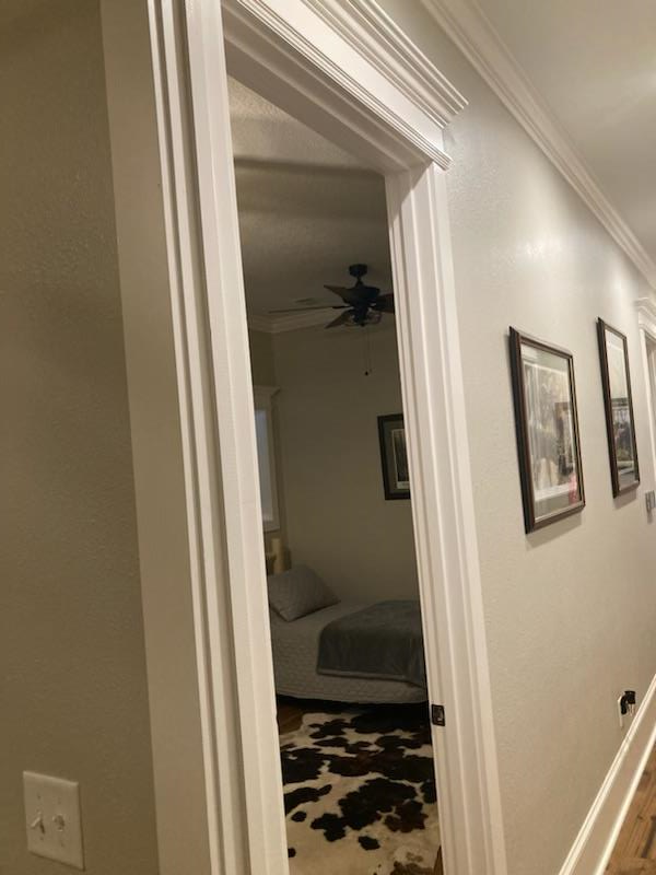 8321 Ebenezer Road Buena Vista, GA 31803 - Photo 42 of 61