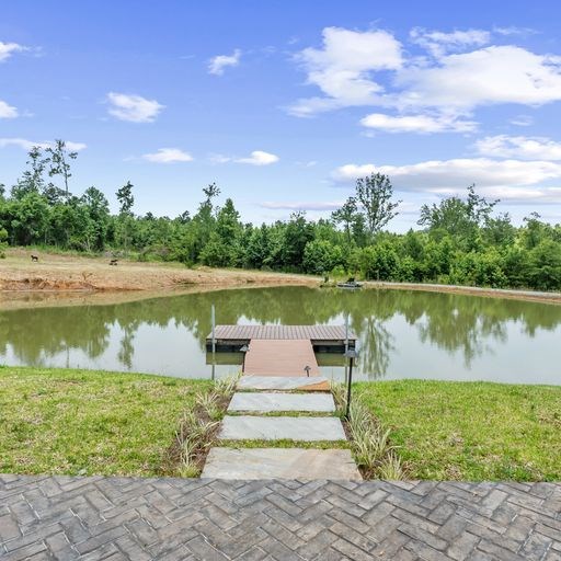 8321 Ebenezer Road Buena Vista, GA 31803 - Photo 46 of 61 Stocked pond