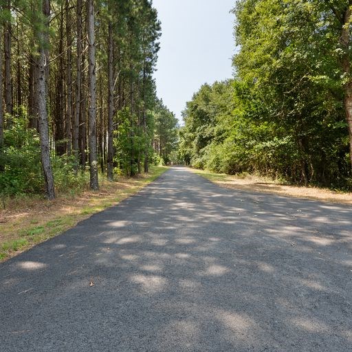8321 Ebenezer Road Buena Vista, GA 31803 - Photo 49 of 61 Primary Entrance Drive