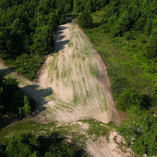 8321 Ebenezer Road Buena Vista, GA 31803 - Photo 50 of 61