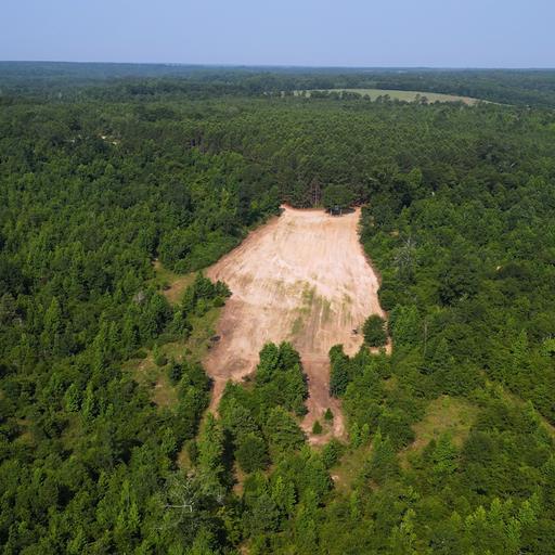 8321 Ebenezer Road Buena Vista, GA 31803 - Photo 51 of 61 Food Plot area