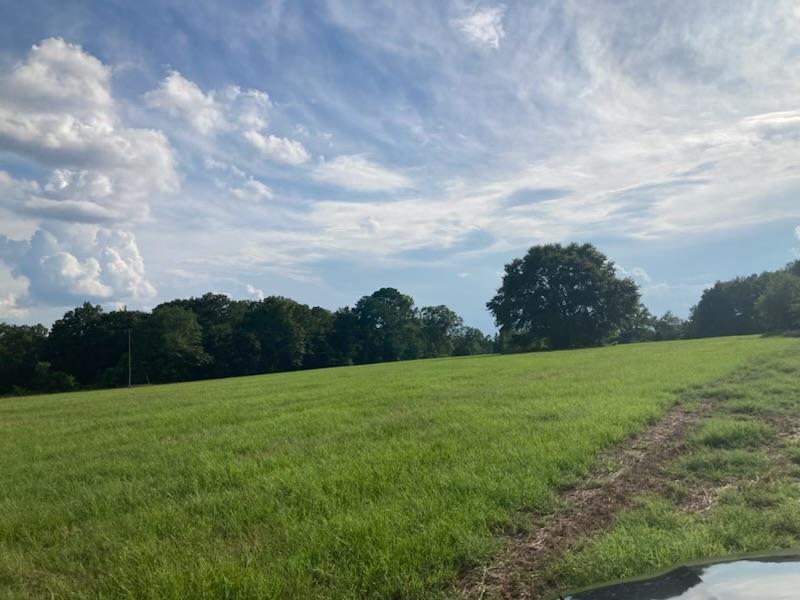 8321 Ebenezer Road Buena Vista, GA 31803 - Photo 54 of 61