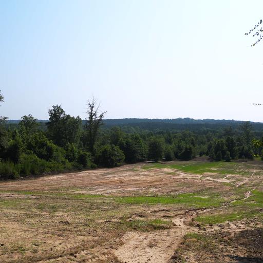 8321 Ebenezer Road Buena Vista, GA 31803 - Photo 58 of 61