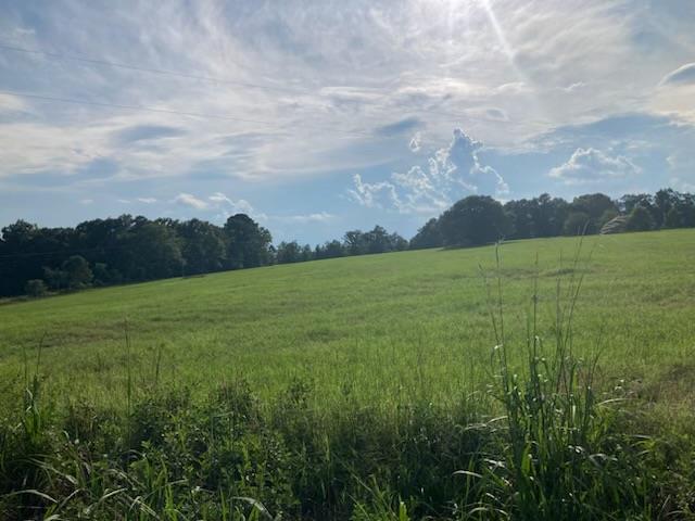 8321 Ebenezer Road Buena Vista, GA 31803 - Photo 59 of 61 20 acree cleared pasture area along Ebenezer Rd