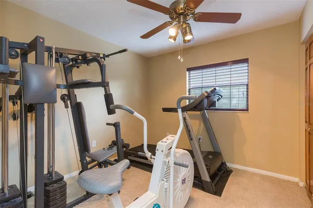 a bedroom with furniture and a window
