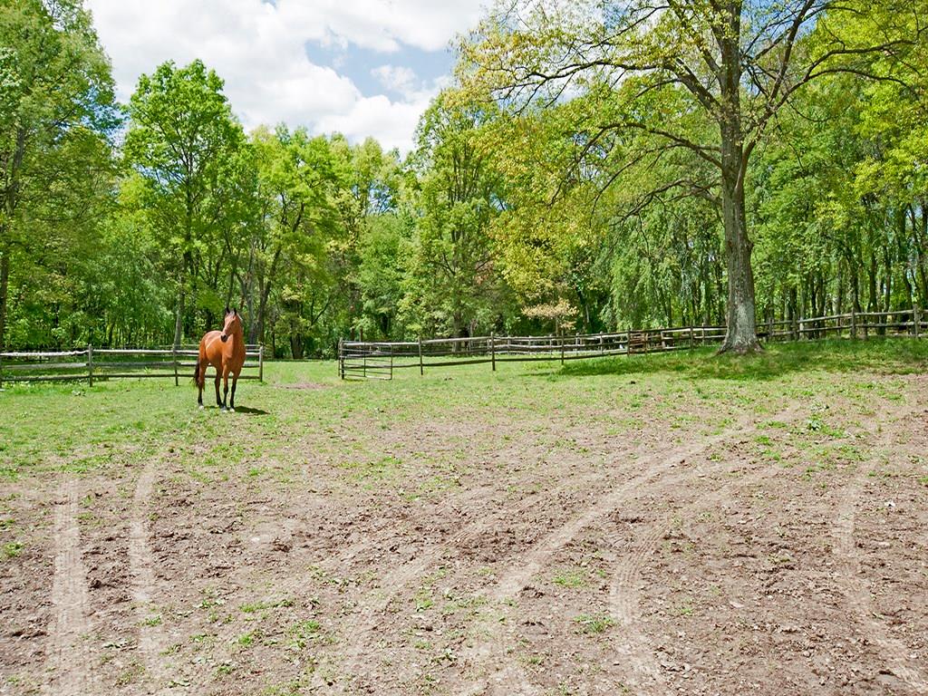 210 Cashdollar Road Evans City, PA 16033 - Photo 24 of 25