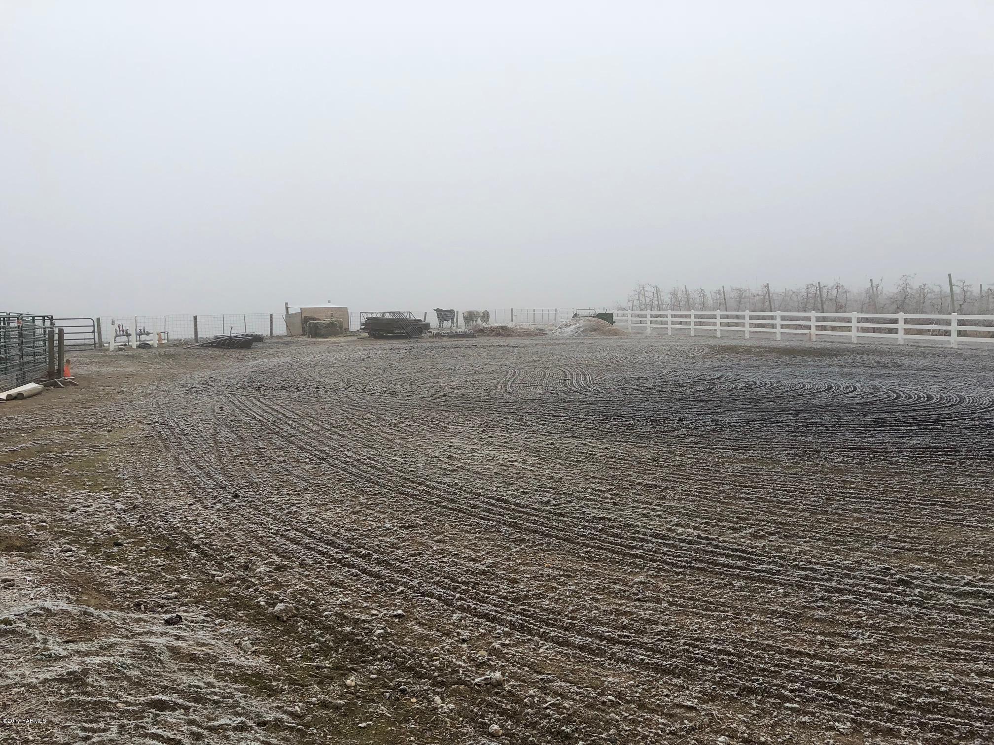 139601 Mccredie Road West Prosser, WA 99350 - Photo 15 of 55 IMG_0096