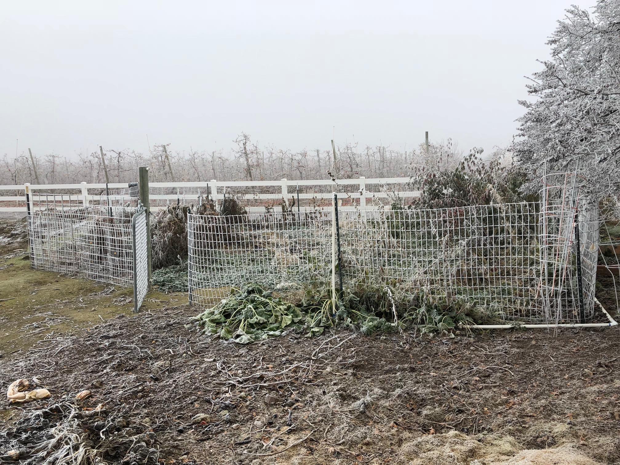 139601 Mccredie Road West Prosser, WA 99350 - Photo 16 of 55 a view of a yard with large trees