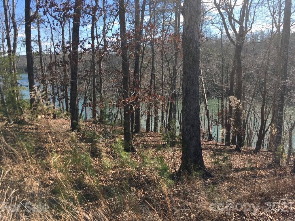 9 Huskey Pointe Mill Spring, NC 28756 - Photo 2 of 19 Gallery Image 2