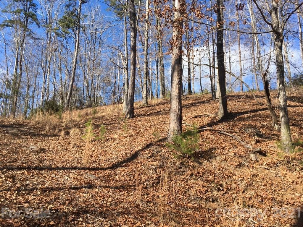 9 Huskey Pointe Mill Spring, NC 28756 - Photo 11 of 19 Gallery Image 11