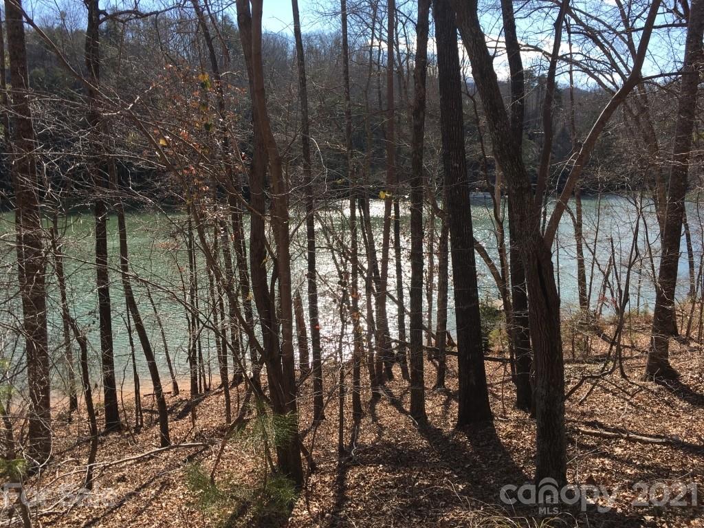 9 Huskey Pointe Mill Spring, NC 28756 - Photo 12 of 19 Gallery Image 12