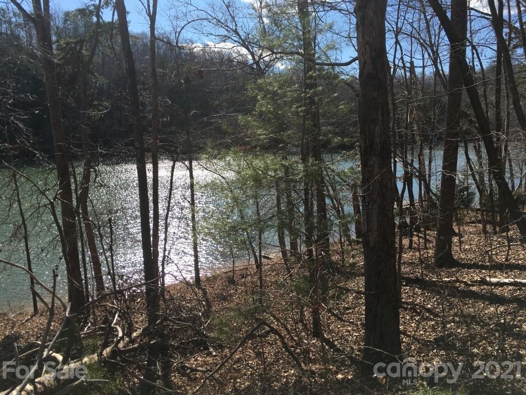 9 Huskey Pointe Mill Spring, NC 28756 - Photo 13 of 19 Gallery Image 13