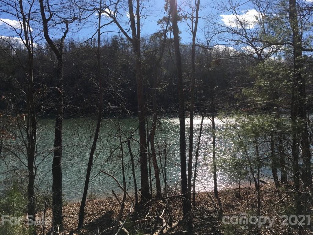 9 Huskey Pointe Mill Spring, NC 28756 - Photo 14 of 19 Gallery Image 14