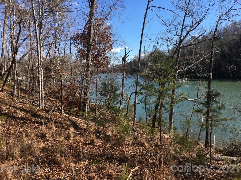 9 Huskey Pointe Mill Spring, NC 28756 - Photo 15 of 19 Gallery Image 15