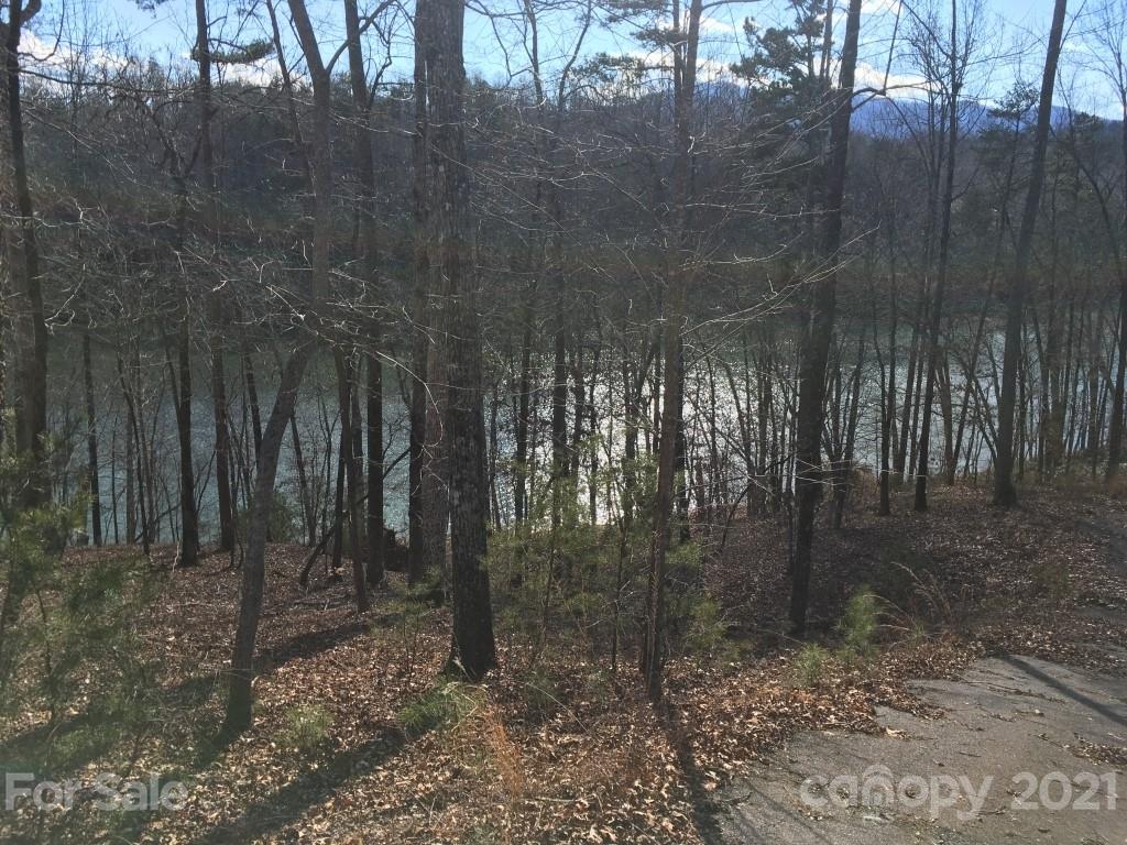 9 Huskey Pointe Mill Spring, NC 28756 - Photo 17 of 19 Gallery Image 17