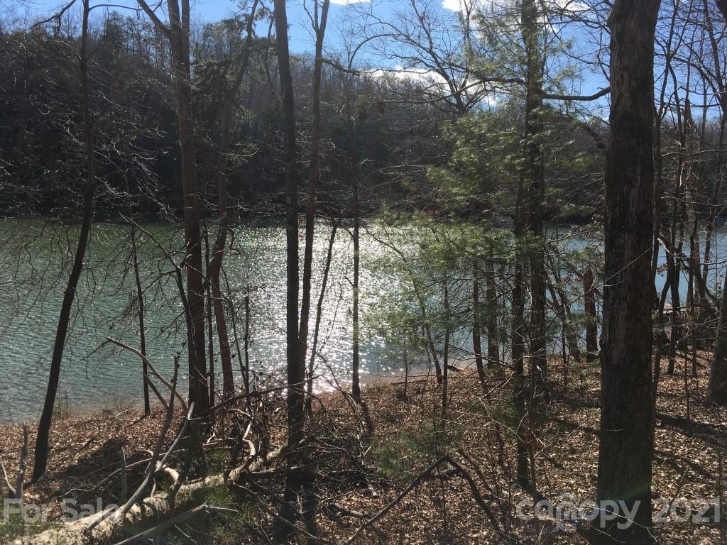 9 Huskey Pointe Mill Spring, NC 28756 - Photo 3 of 19 Gallery Image 3