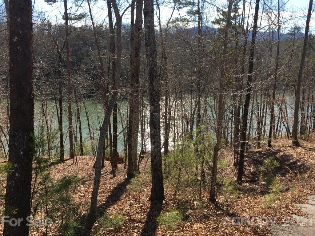 9 Huskey Pointe Mill Spring, NC 28756 - Photo 4 of 19 Gallery Image 4