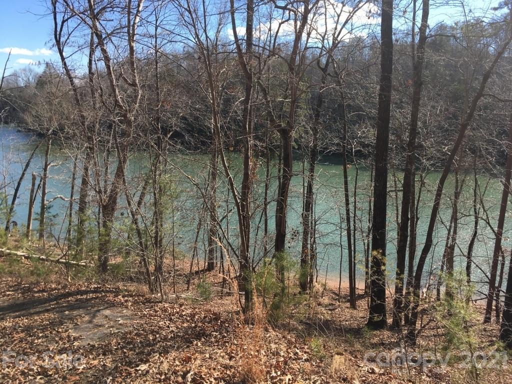 9 Huskey Pointe Mill Spring, NC 28756 - Photo 7 of 19 Gallery Image 7