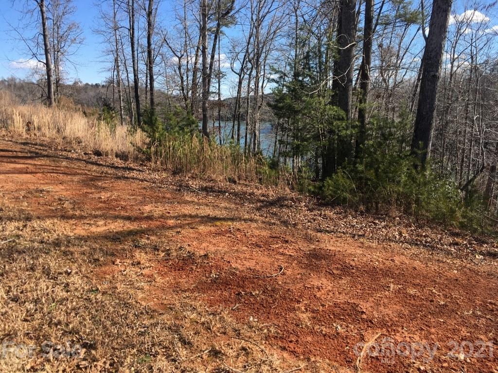 9 Huskey Pointe Mill Spring, NC 28756 - Photo 8 of 19 Gallery Image 8