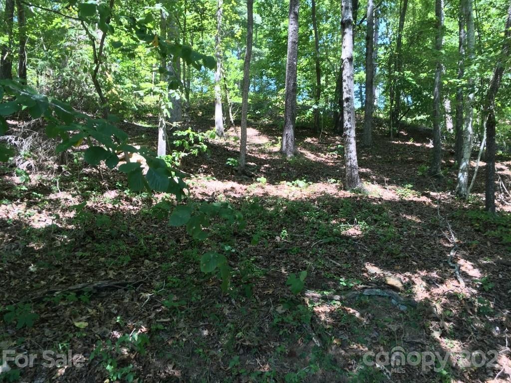 9 Huskey Pointe Mill Spring, NC 28756 - Photo 10 of 19 Gallery Image 10
