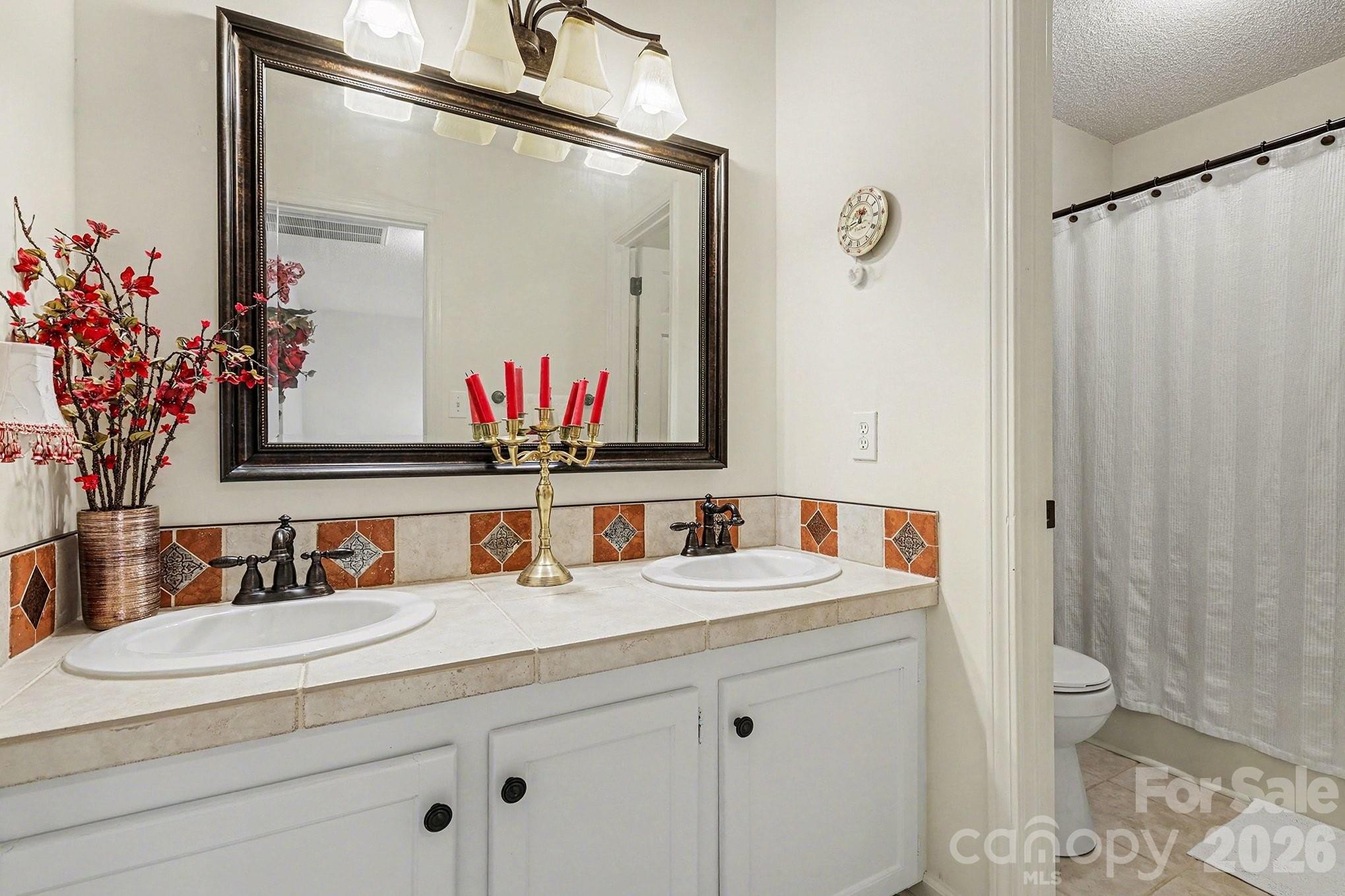 205 John Cline Road Cherryville, NC 28021 - Photo 20 of 41 a bathroom with a sink and a mirror