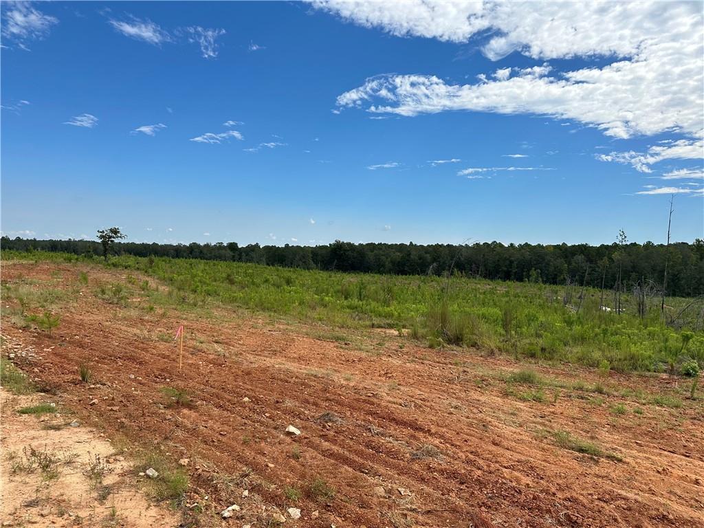 Lot 7 Ridge Road Seale, AL 36875 - Photo 9 of 10 View of landscape featuring a rural view