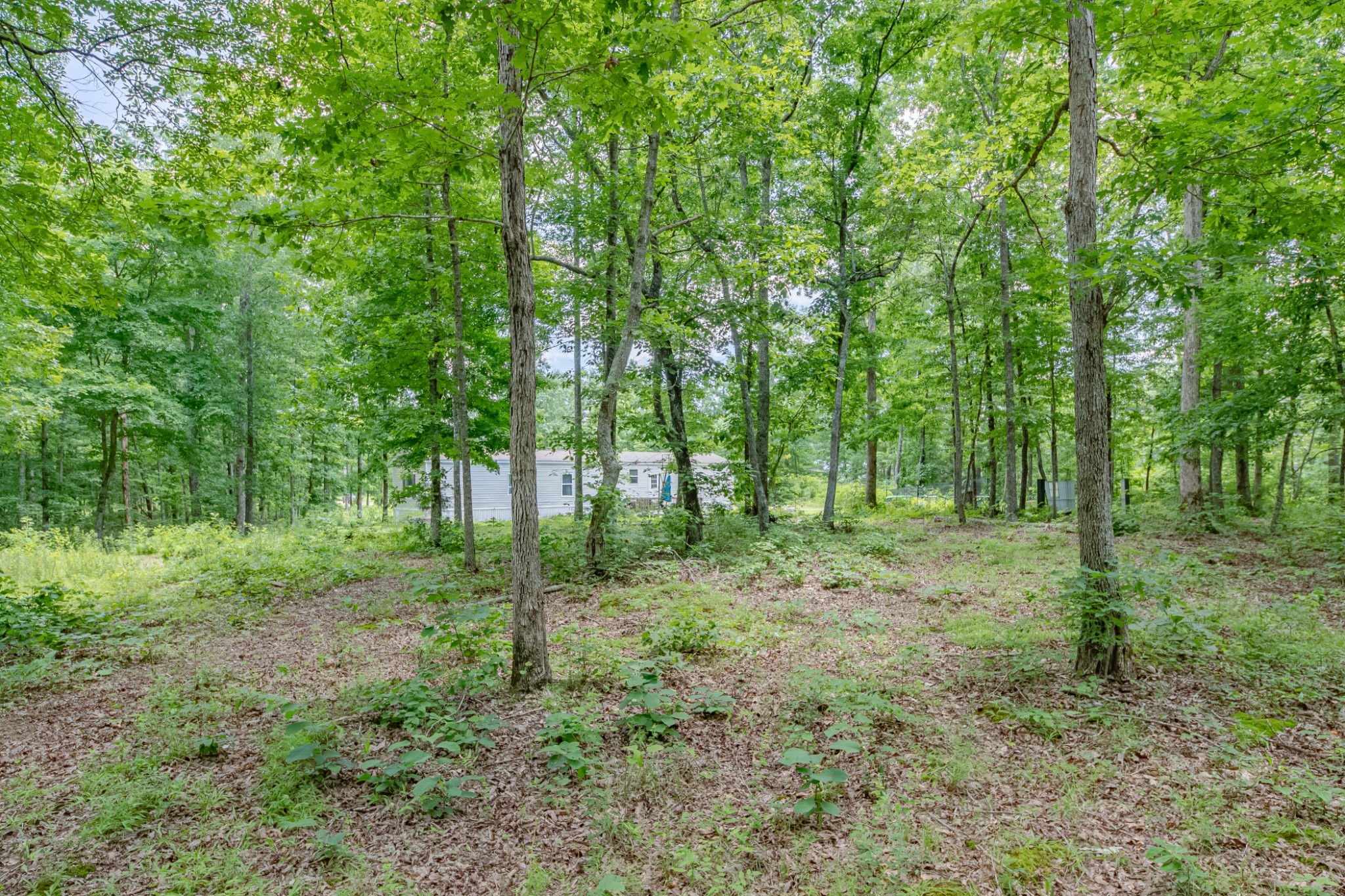 6126 Calvin Potts Road Primm Springs, TN 38476 - Photo 30 of 36 Gallery Image 30