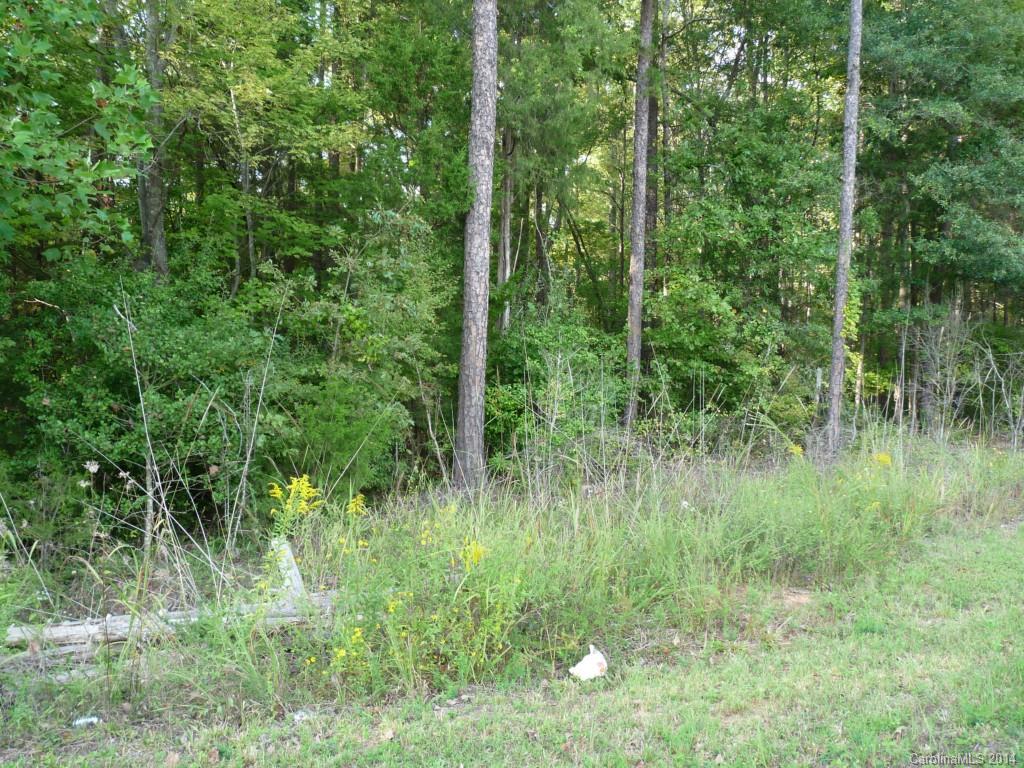 Lot A Little River Road Indian Land, SC 29707 - Photo 1 of 4 Gallery Image 1