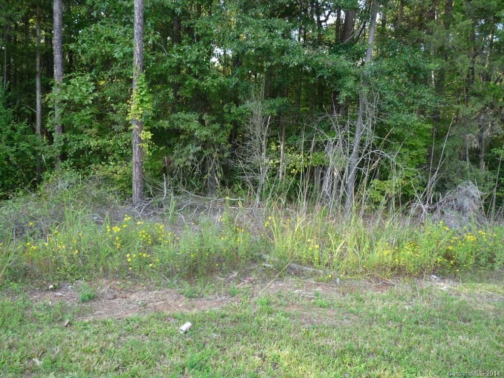 Lot A Little River Road Indian Land, SC 29707 - Photo 4 of 4 Gallery Image 4