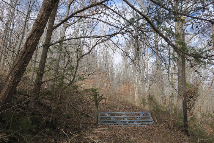 4404 Hannah Ford Road Pegram, TN 37143 - Photo 3 of 15 a view of backyard of the house