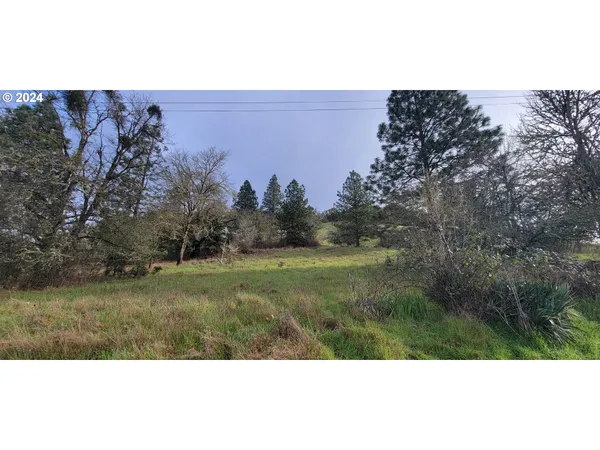 a view of a field with trees in background