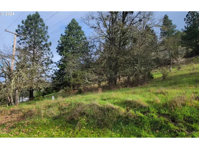 $25,000 | Southeast Ardis Avenue, Unit 7, Myrtle Creek, OR 97457