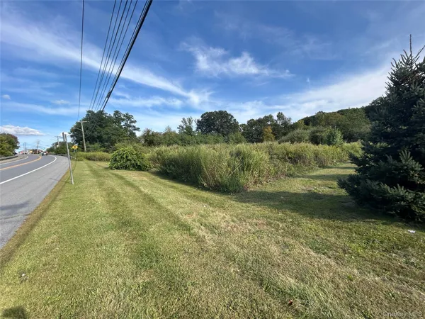 a view of a yard