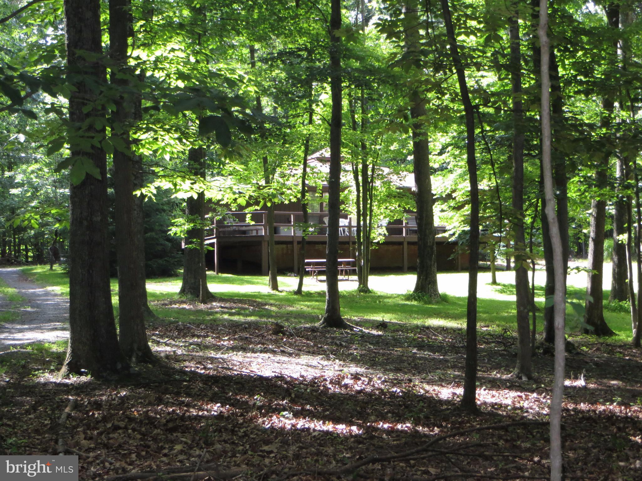 89 Ruffed Grouse Lane Hedgesville, WV 25427 - Photo 26 of 26 View of Wooded Lot