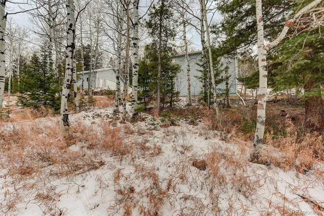 a view of a yard covered in snow
