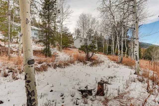 a view of a yard with snow on the road