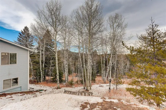 a backyard of a house with lots of green space