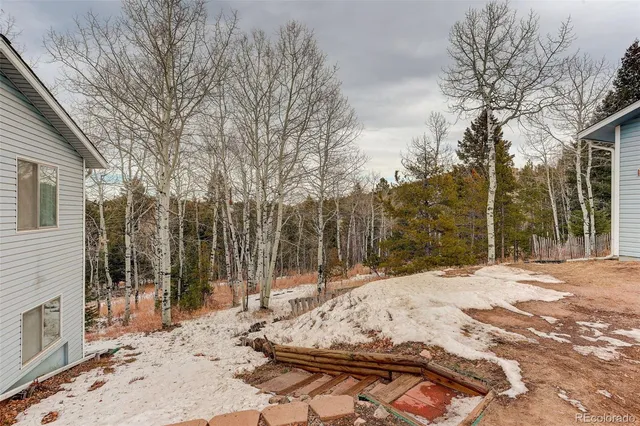 a view of a yard covered in snow