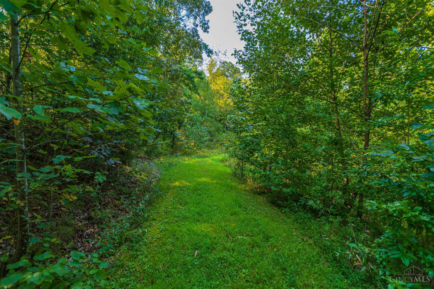 145 Tobe Lewis Road Lynx, OH 45650 - Photo 24 of 51 Gallery Image 24