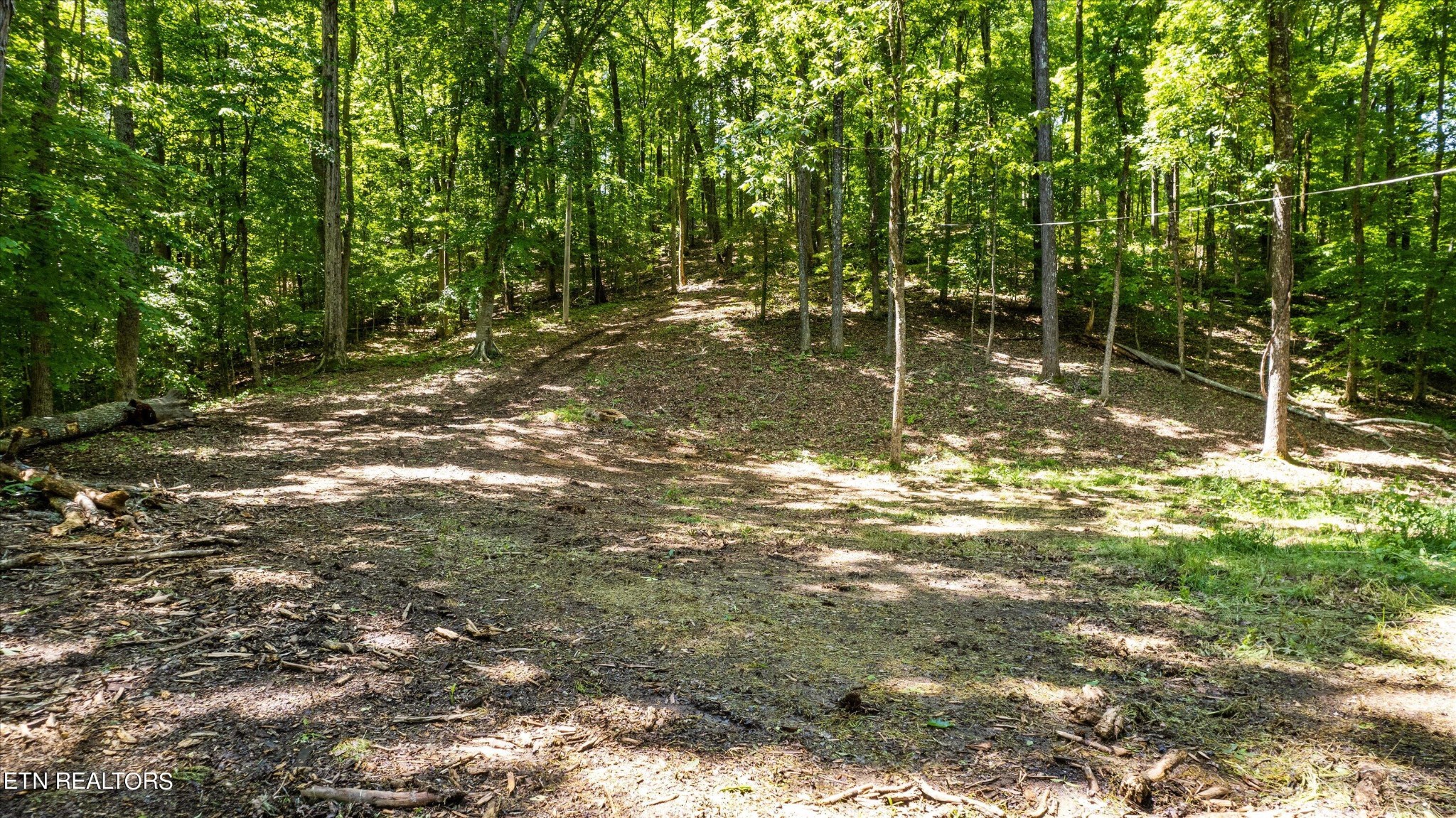 1741 Gator Point Road Sevierville, TN 37876 - Photo 10 of 16 Gallery Image 10
