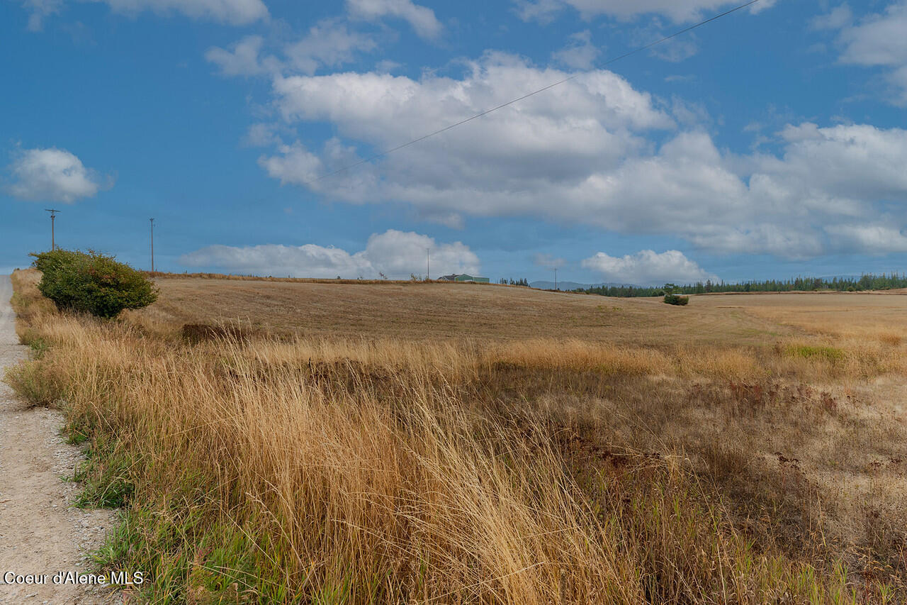 East Van Dusen Road Harrison, ID 83833 - Photo 5 of 9 20251004Lemieux_Hay-202-Edit