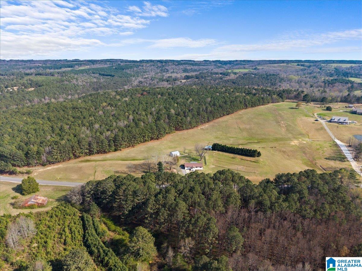 5743 County Highway 27 Springville, AL 35146 - Photo 20 of 46