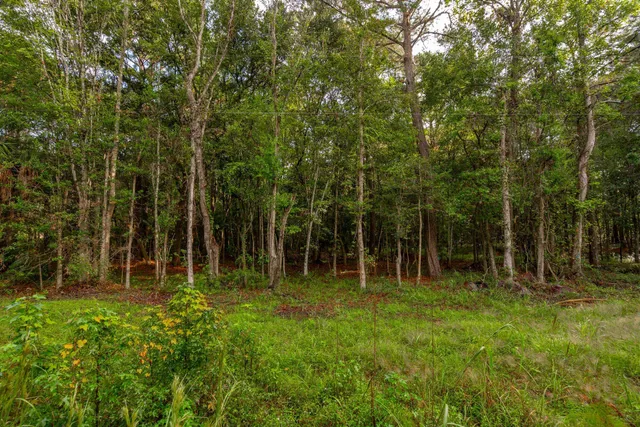 $274,900 | 736 Wilson Cemetery Road, Awendaw, SC 29429