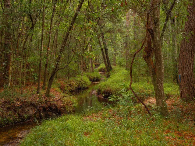 $274,900 | 736 Wilson Cemetery Road, Awendaw, SC 29429